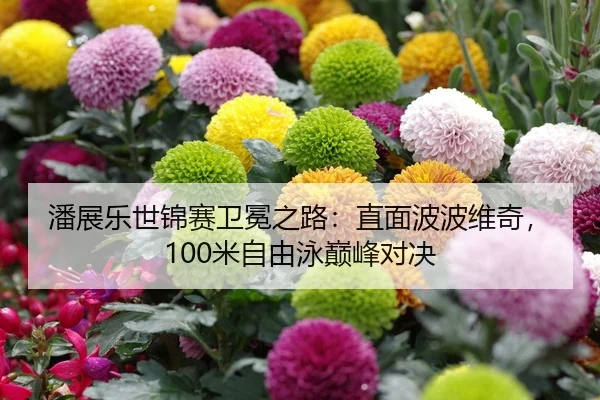 潘展乐世锦赛卫冕之路：直面波波维奇，100米自由泳巅峰对决