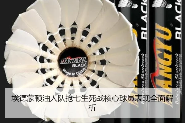 埃德蒙顿油人队抢七生死战核心球员表现全面解析