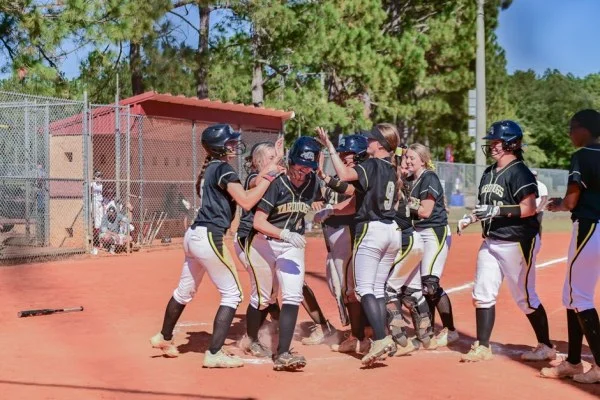 baseball home run celebration